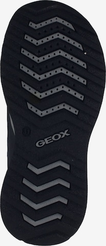 GEOX Boots in Blue