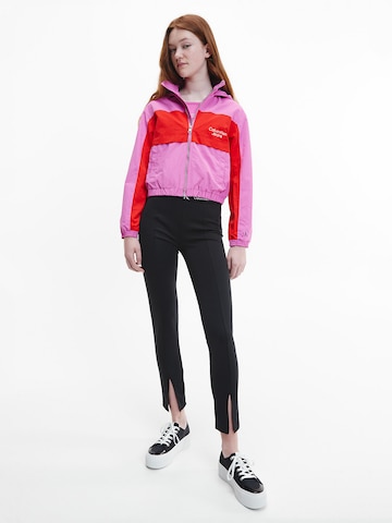 Veste mi-saison Calvin Klein Jeans en rose