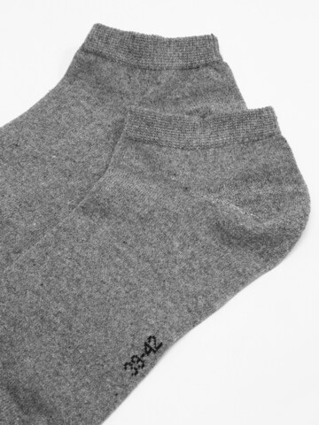 Albert Schäfer Socks in Grey