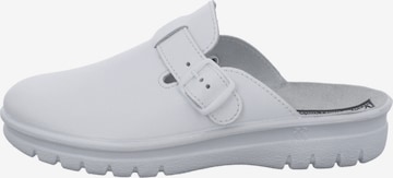 Westland Mules 'Metz' in White