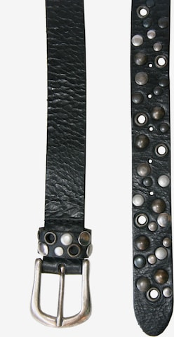 Petrol Industries Belt in Mixed colors