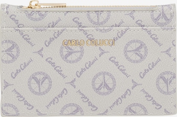 Carlo Colucci Case 'Delbon ' in Grey: front