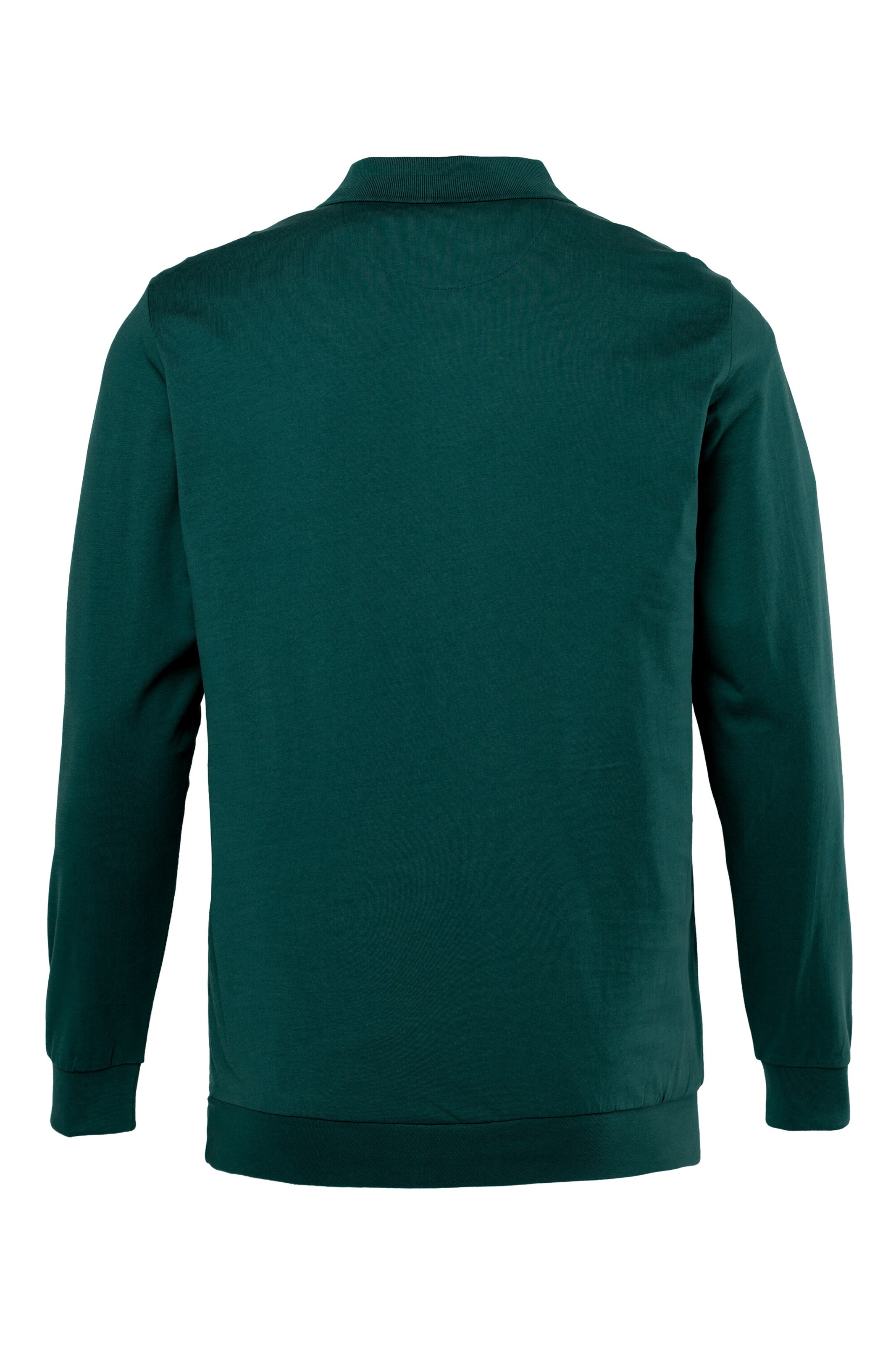 Men Plus Shirt in Grün