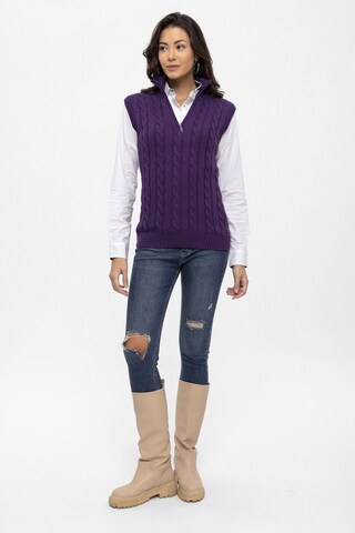 Felix Hardy Sweater in Purple