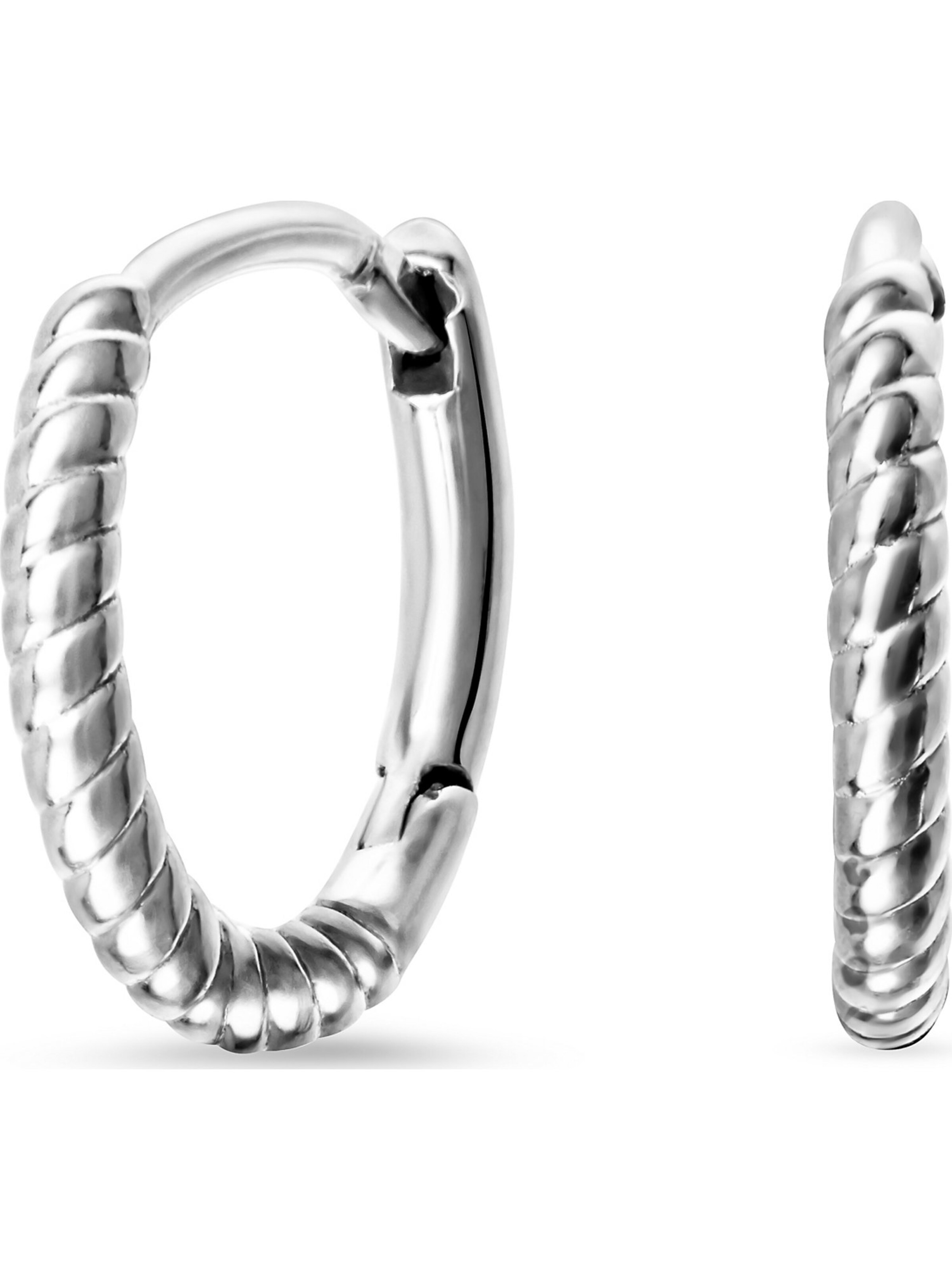 FAVS Earrings in Silver