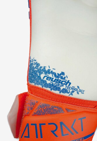 REUSCH Athletic Gloves 'Attrakt Freegel' in Orange
