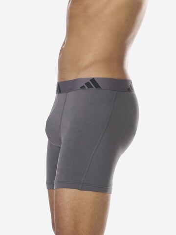 Boxers ' Active Flex Cotton ' ADIDAS SPORTSWEAR en mélange de couleurs