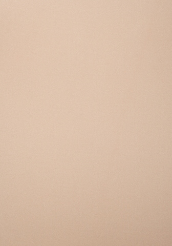 LASCANA Bodice dress in Beige