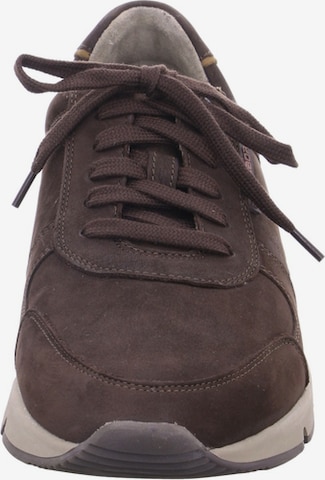 Pius Gabor Sneakers in Brown