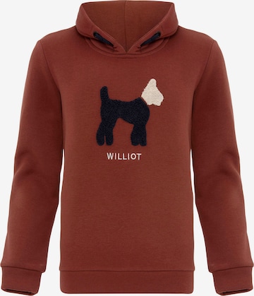 Williot Sweatshirt i brun: forside