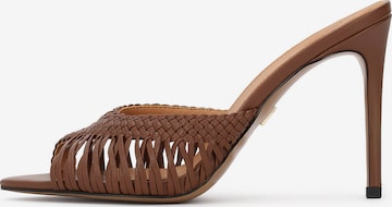 ruda Kazar Šlepetės: priekis