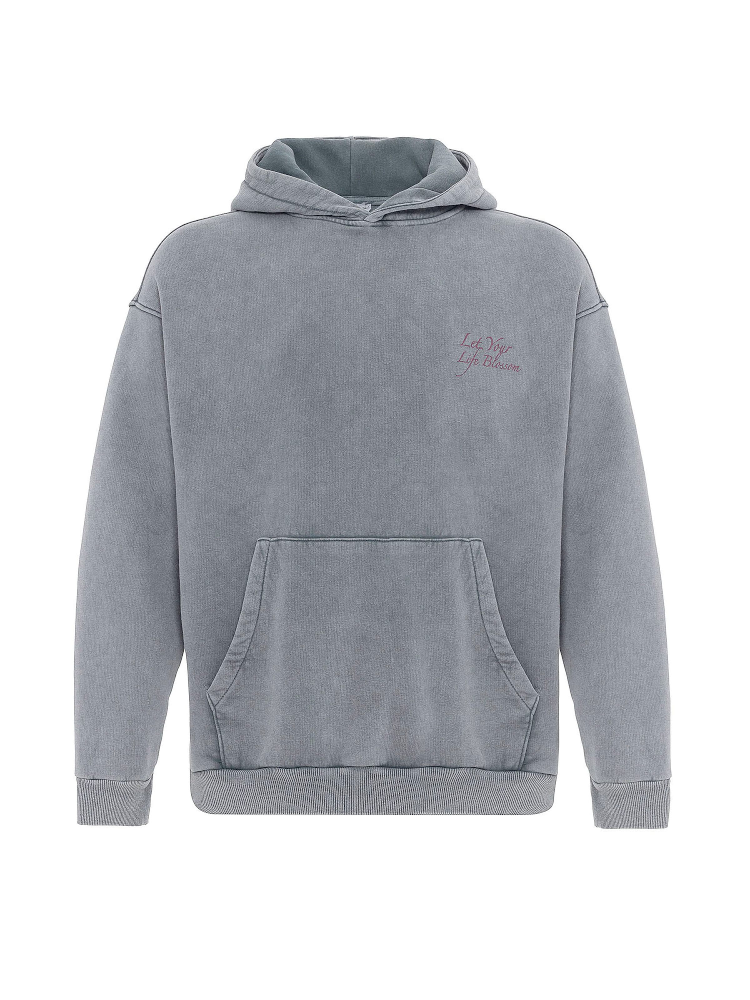 VAMOS CLO Sweatshirt i grå: framsida