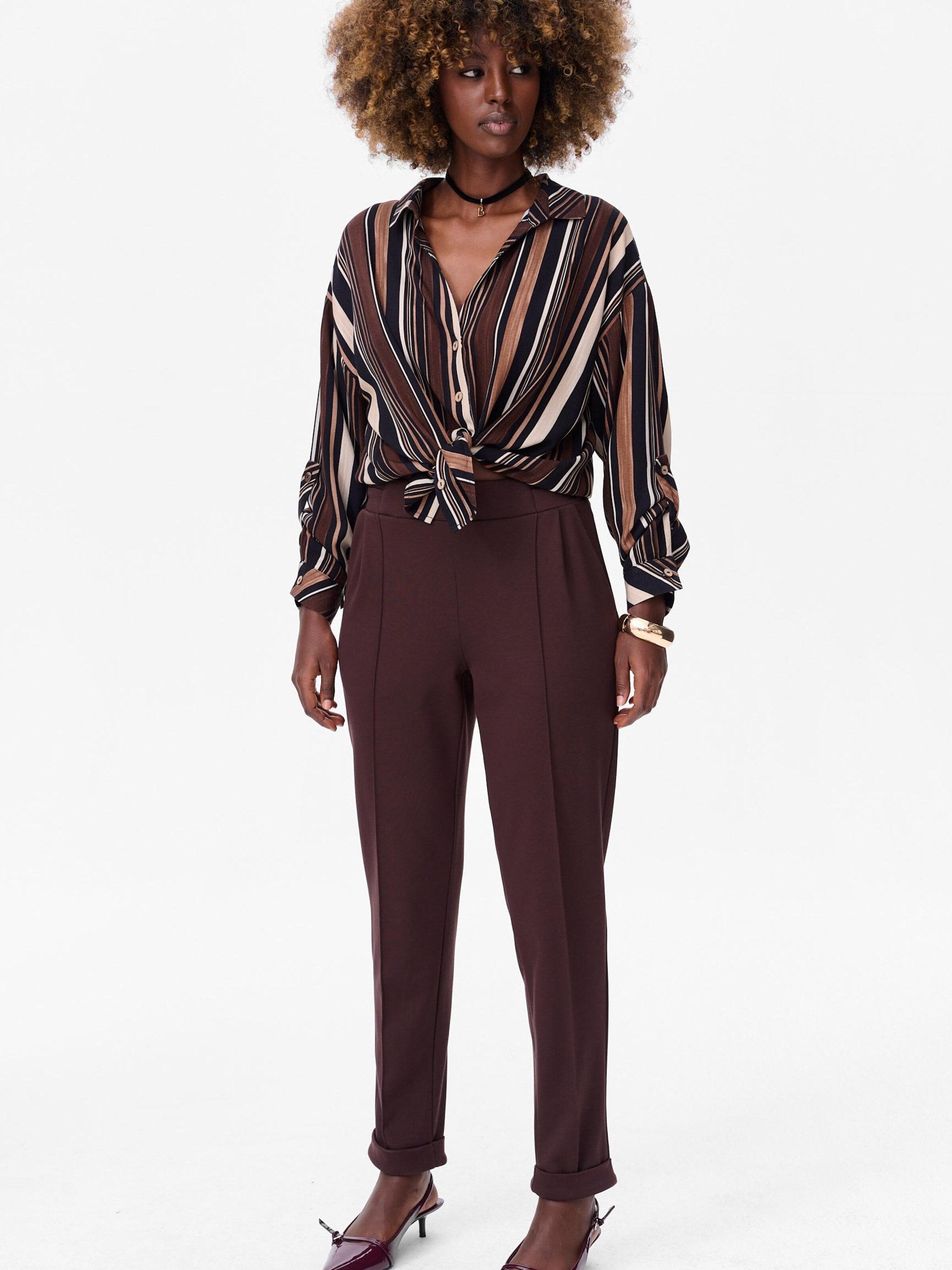 Blue Shadow Regular Pants in Brown