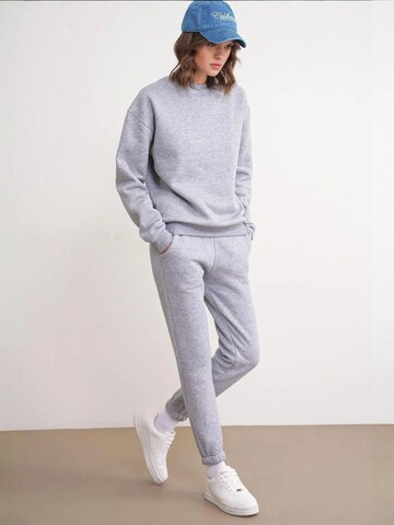 Pantalons de tailleur MixRay en gris