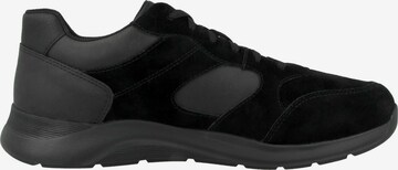 GEOX Sneaker in Schwarz