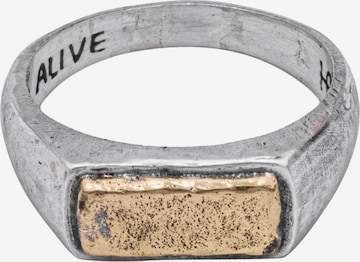 Haze&Glory Ring in Zilver