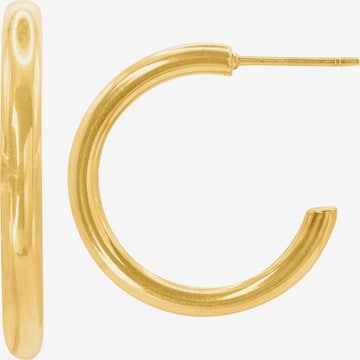 Heideman Earrings 'Rhea ' in Gold