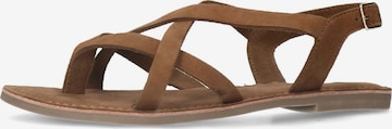 Sandales à lanières SACHA en marron : devant