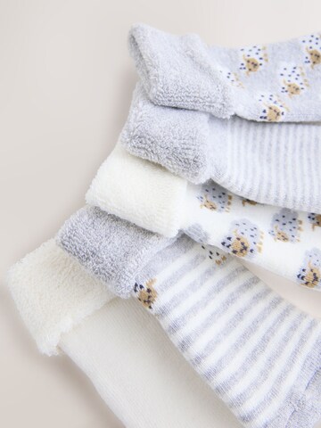 Chaussettes Next en gris