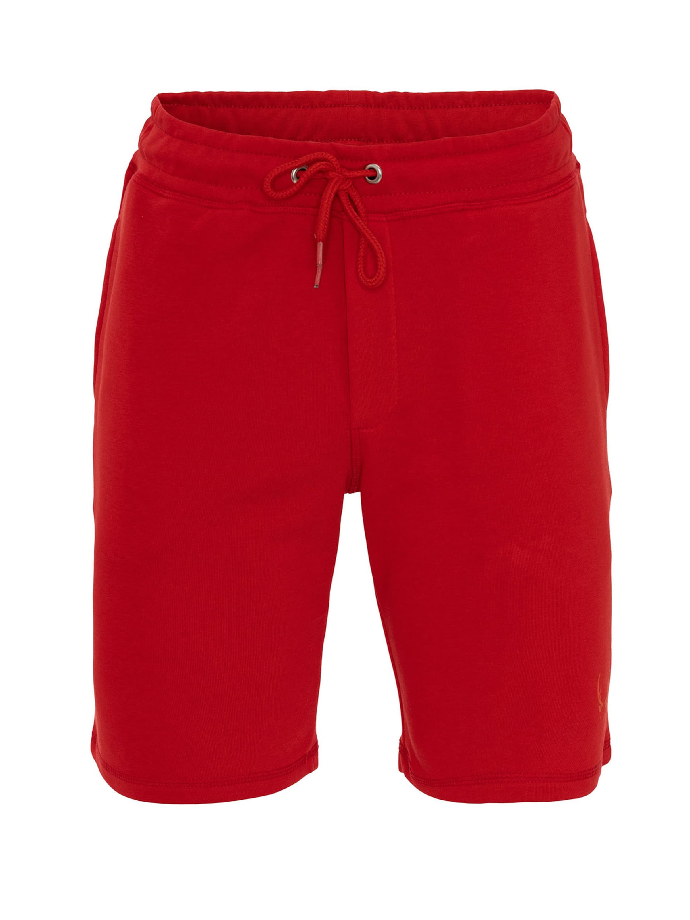 By Diess Collection Regularen Hlače | rdeča barva: sprednja stran