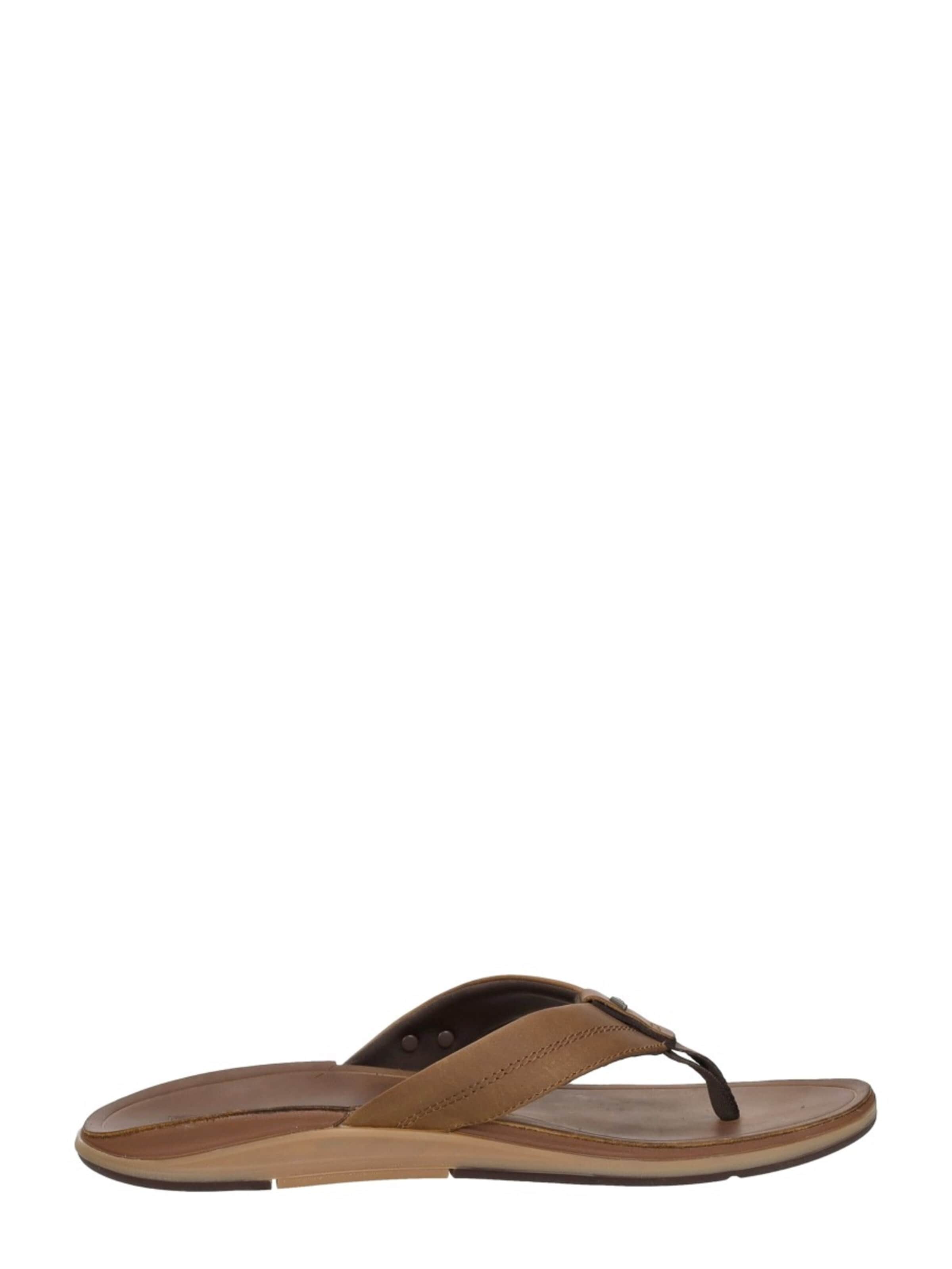 REEF T-bar sandals 'Leather Offshore' in Brown