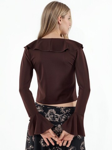 Bigdart Blouse in Brown