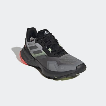 ADIDAS TERREX Laufschuh in Grau