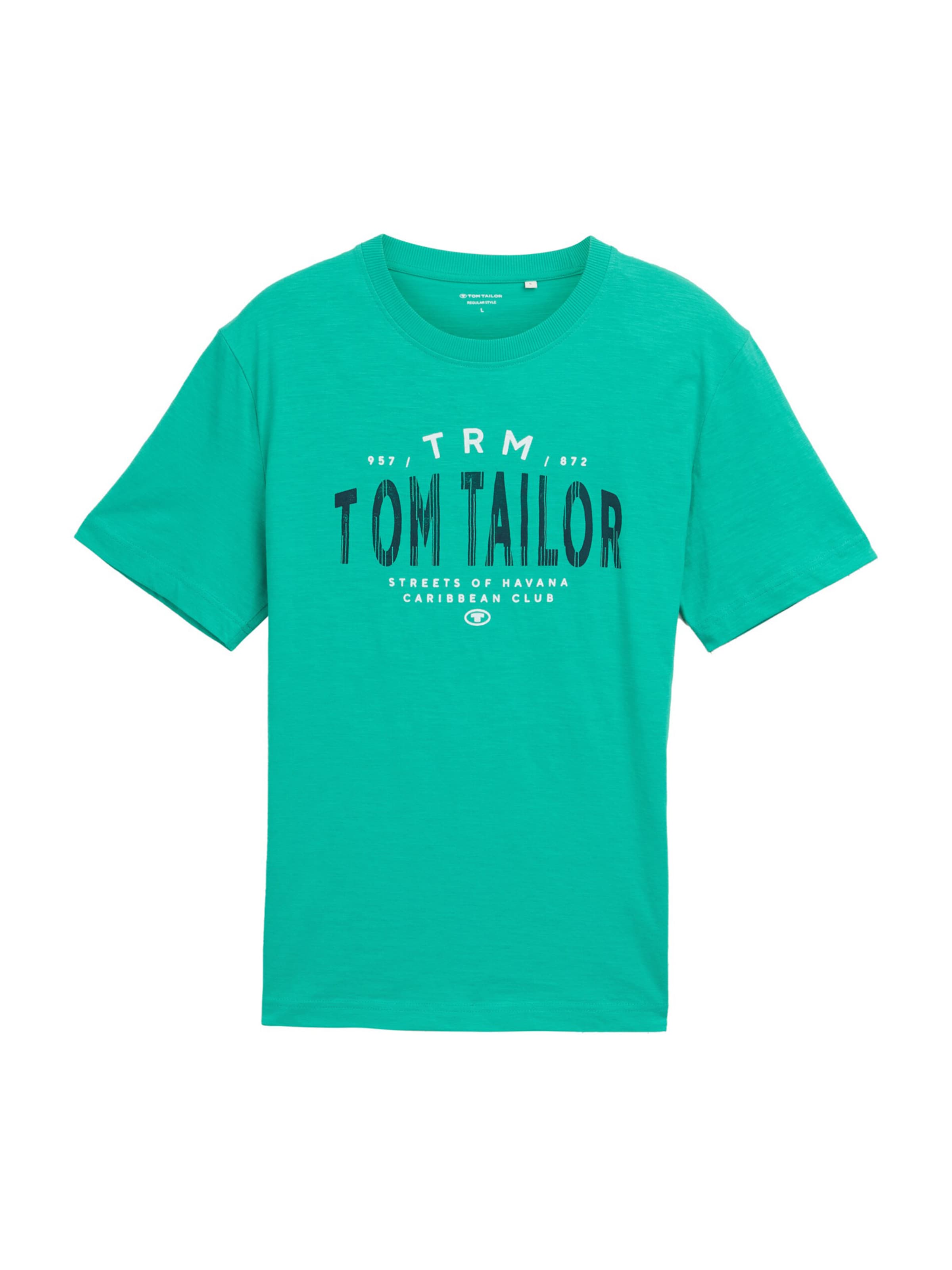 Maglietta di TOM TAILOR in verde: frontale