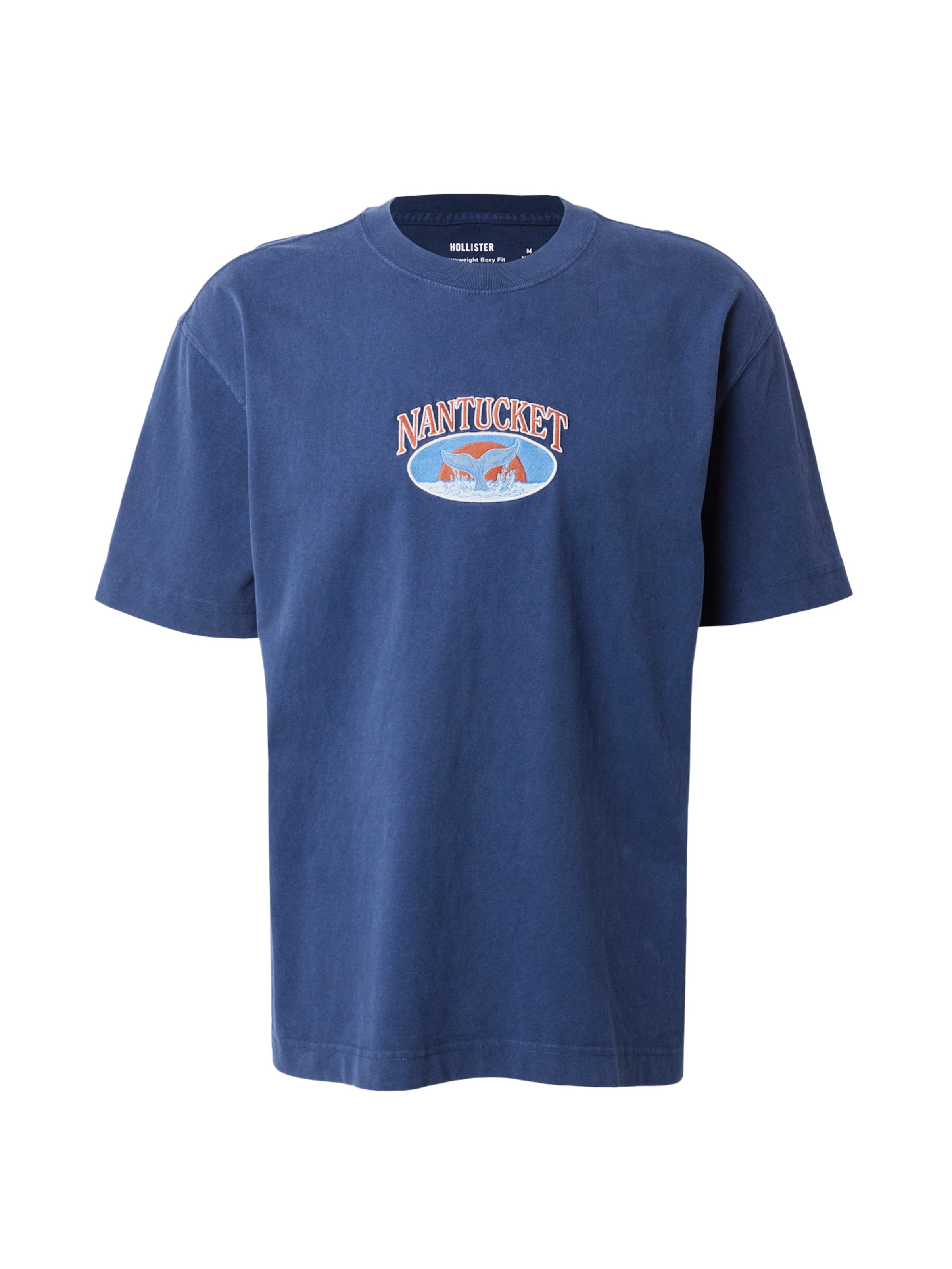 HOLLISTER Särk 'DESTINATIONS', värv sinine: eest vaates