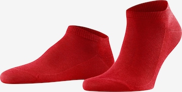 FALKE Socks 'Family' in Red: front