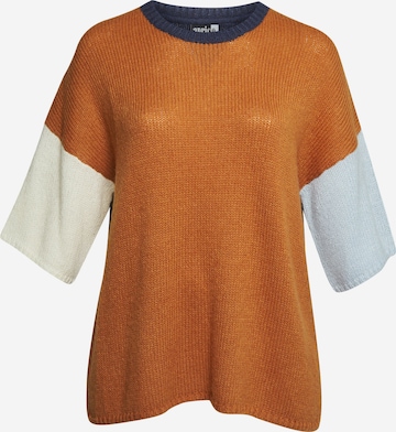 Aprico Sweater 'APClifton' in Brown: front