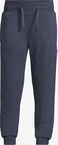 New Life Pants in Blue: front