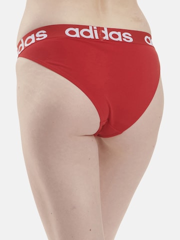 ADIDAS SPORTSWEAR Athletic Underwear in Red