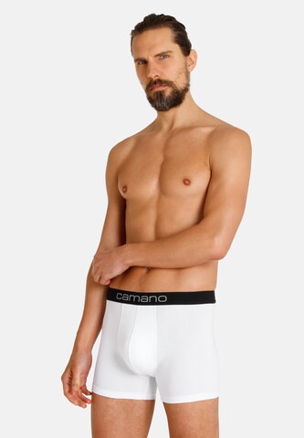 camano Boxer shorts in White: front