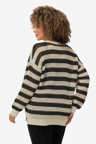 Ulla Popken Sweater in Beige