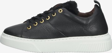 SCAPA Sneaker in Schwarz