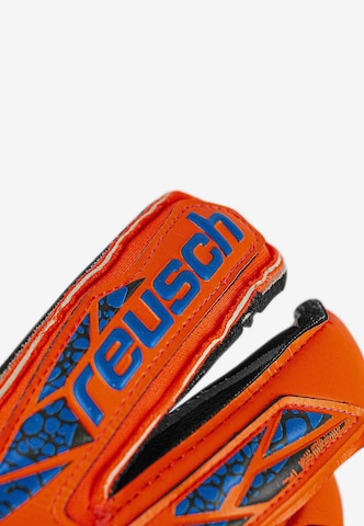 REUSCH Athletic Gloves 'Attrakt Gold X Evolution GluePrint' in Orange