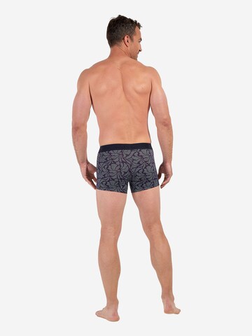 HOM Boxer shorts ' HO1 Long Island ' in Blue