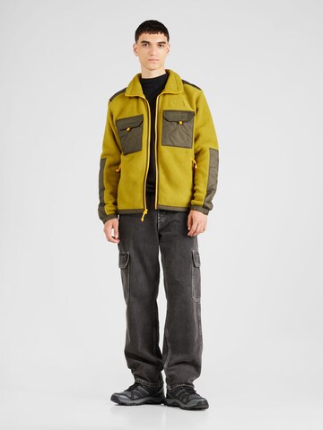 THE NORTH FACE Funktionele fleece-jas 'ROYAL ARCH' in Groen