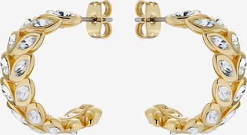 Ted Baker Earrings 'SENELDA' in Gold