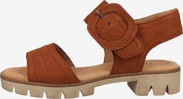 GABOR Sandals in Brown