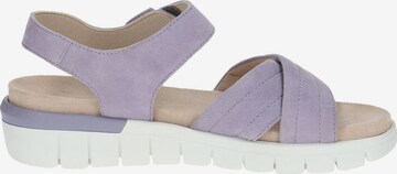 CAPRICE Sandals in Purple