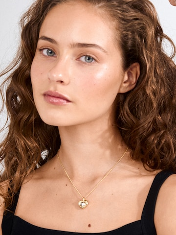 Chaîne 'NOVA' Pilgrim en or