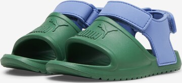 PUMA Sandale 'Divecat v2 Injex' in Grün