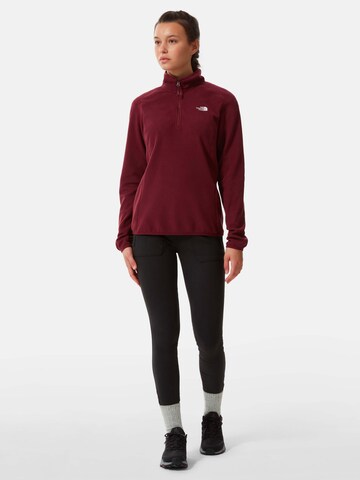 THE NORTH FACE Sportpullover 'Glacier' in Rot