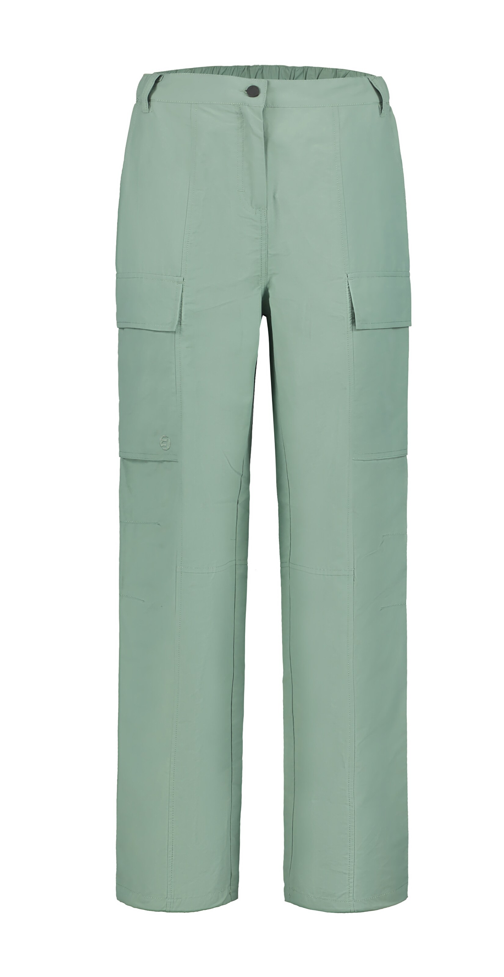 ICEPEAK Outdoor Pants in Green: front
