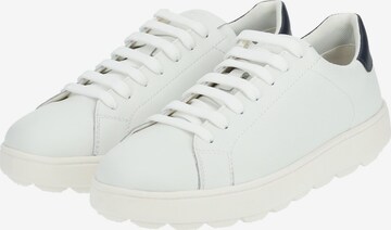 Baskets basses GEOX en blanc