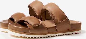 LLOYD Mules in Brown: front