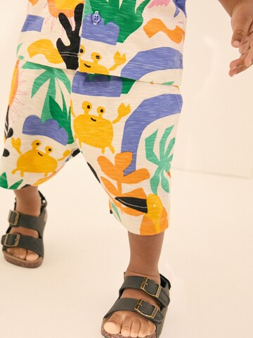 Next Set 'Set' in Mixed colours