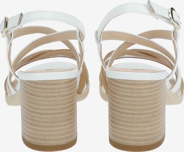 Nero Giardini Strap Sandals in White